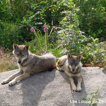 Appartement D'Hotes Gueret Bagian luar foto